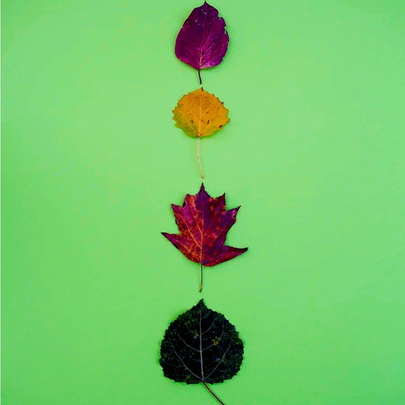 Meet your Posher, Audra - Picture 1 of 1